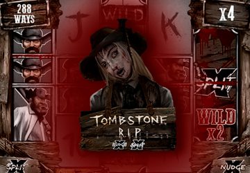 Microgaming - игровой автомат онлайн от Various с RTP 95.41%